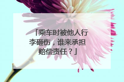 乘车时被他人行李砸伤，谁来承担赔偿责任？