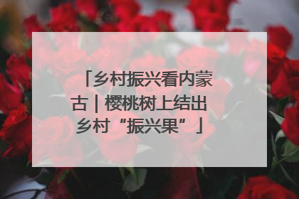 乡村振兴看内蒙古｜樱桃树上结出乡村“振兴果”