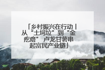 乡村振兴在行动丨从“土坷垃”到“金疙瘩” 卢龙甘薯串起富民产业链
