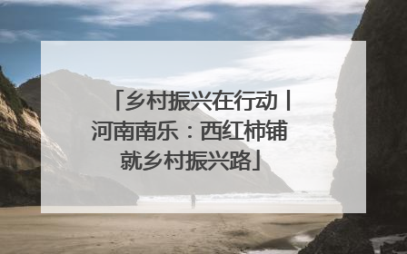 乡村振兴在行动丨河南南乐：西红柿铺就乡村振兴路