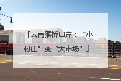 云南猴桥口岸：“小村庄”变“大市场”