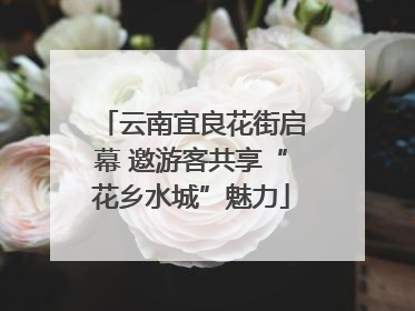 云南宜良花街启幕 邀游客共享“花乡水城”魅力