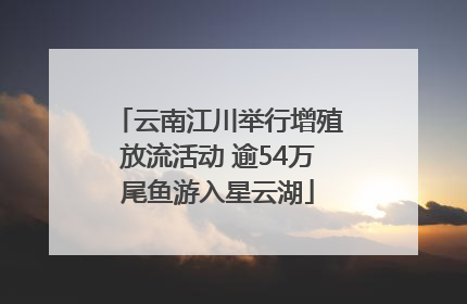 云南江川举行增殖放流活动 逾54万尾鱼游入星云湖