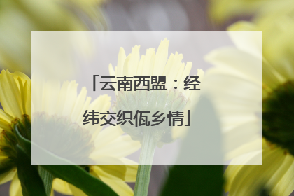 云南西盟：经纬交织佤乡情