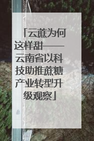 云蔗为何这样甜——云南省以科技助推蔗糖产业转型升级观察
