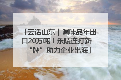 云话山东｜调味品年出口20万吨！乐陵连打新“牌”助力企业出海