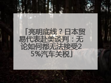 亮明底线？日本贸易代表赴美谈判：无论如何都无法接受25%汽车关税