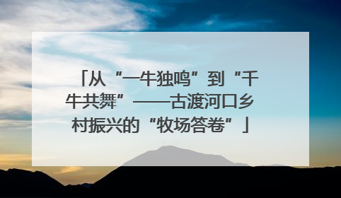 从“一牛独鸣”到“千牛共舞”——古渡河口乡村振兴的“牧场答卷”