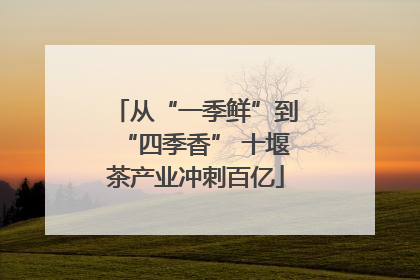从“一季鲜”到“四季香” 十堰茶产业冲刺百亿