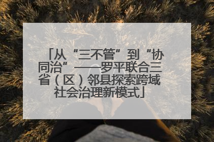 从“三不管”到“协同治”——罗平联合三省（区）邻县探索跨域社会治理新模式