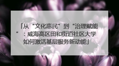 从“文化惠民”到“治理赋能”：威海高区田和街道社区大学如何激活基层服务新动能