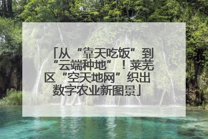 从“靠天吃饭”到“云端种地”！莱芜区“空天地网”织出数字农业新图景