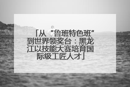 从“鲁班特色班”到世界领奖台：黑龙江以技能大赛培育国际级工匠人才