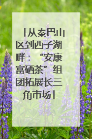 从秦巴山区到西子湖畔：“安康富硒茶”组团拓展长三角市场