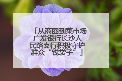 从商圈到菜市场 广发银行长沙人民路支行积极守护群众“钱袋子”