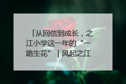 从回信到成长，之江小学这一年的“一路生花”｜风起之江 扶摇直上