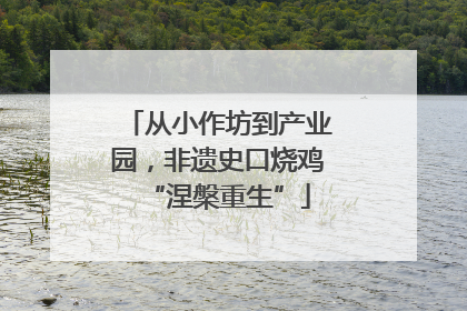 从小作坊到产业园，非遗史口烧鸡“涅槃重生”