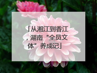 从湘江到香江，湖南“全员文体”养成记