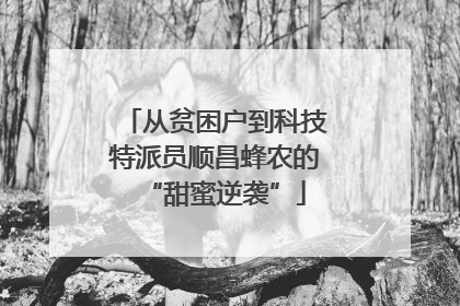 从贫困户到科技特派员顺昌蜂农的“甜蜜逆袭”