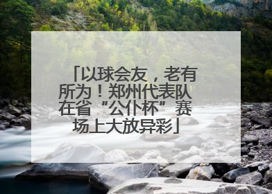 以球会友，老有所为！郑州代表队在省“公仆杯”赛场上大放异彩