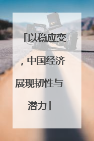 以稳应变，中国经济展现韧性与潜力