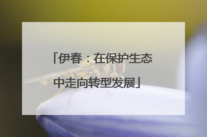 伊春：在保护生态中走向转型发展