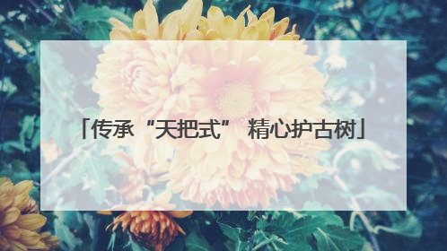 传承“天把式” 精心护古树