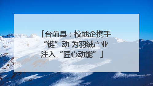 台前县：校地企携手“链”动 为羽绒产业注入“匠心动能”