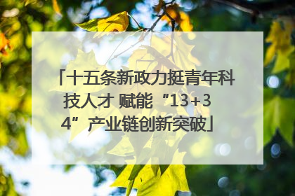十五条新政力挺青年科技人才 赋能“13+34”产业链创新突破