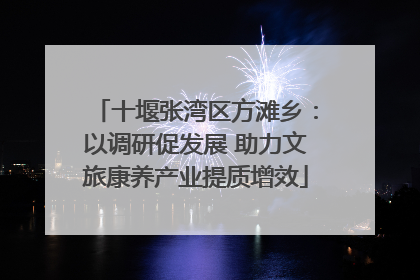 十堰张湾区方滩乡：以调研促发展 助力文旅康养产业提质增效