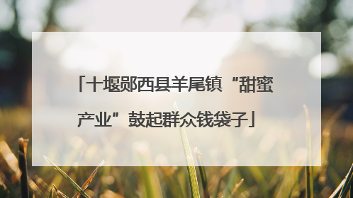 十堰郧西县羊尾镇“甜蜜产业”鼓起群众钱袋子