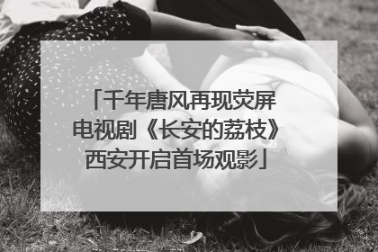 千年唐风再现荧屏 电视剧《长安的荔枝》西安开启首场观影