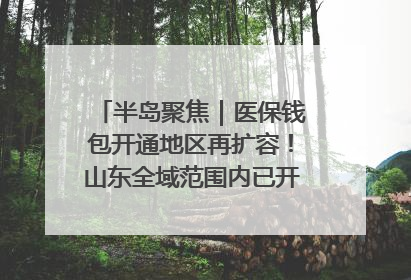 半岛聚焦｜医保钱包开通地区再扩容！山东全域范围内已开通，有何用处？如何操作？速戳→