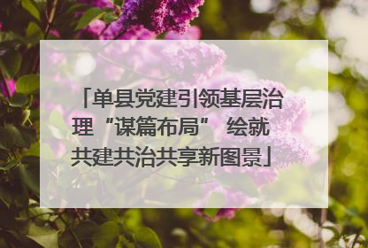 单县党建引领基层治理“谋篇布局” 绘就共建共治共享新图景