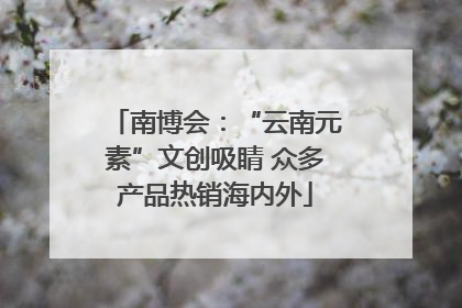 南博会：“云南元素”文创吸睛 众多产品热销海内外