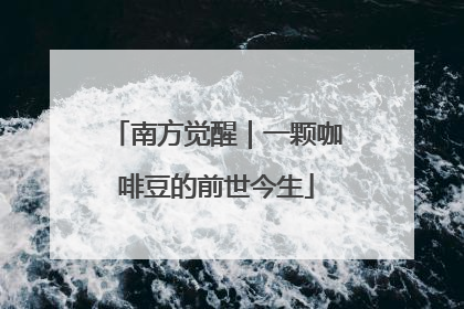 南方觉醒｜一颗咖啡豆的前世今生