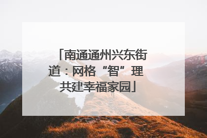 南通通州兴东街道：网格“智”理 共建幸福家园