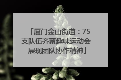 厦门金山街道：75支队伍齐聚趣味运动会 展现团队协作精神