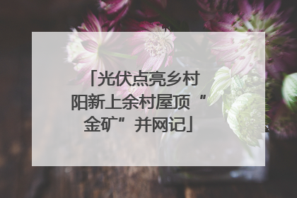光伏点亮乡村 阳新上余村屋顶“金矿”并网记