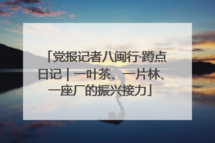 党报记者八闽行·蹲点日记｜一叶茶、一片林、一座厂的振兴接力