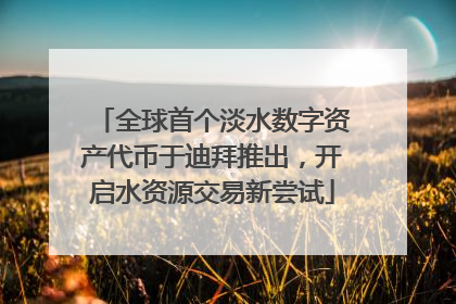 全球首个淡水数字资产代币于迪拜推出，开启水资源交易新尝试