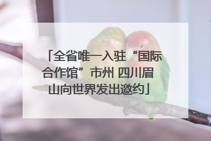 全省唯一入驻“国际合作馆”市州 四川眉山向世界发出邀约