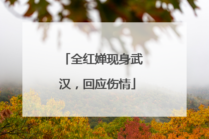 全红婵现身武汉，回应伤情