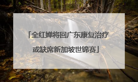 全红婵将回广东康复治疗 或缺席新加坡世锦赛