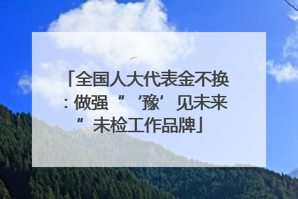 全国人大代表金不换：做强“‘豫’见未来”未检工作品牌