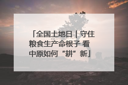 全国土地日｜守住粮食生产命根子 看中原如何“耕”新