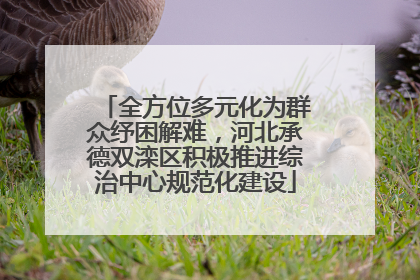 全方位多元化为群众纾困解难，河北承德双滦区积极推进综治中心规范化建设