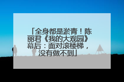 全身都是淤青！陈丽君《我的大观园》幕后：面对滚楼梯，没有做不到