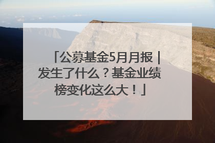 公募基金5月月报｜发生了什么？基金业绩榜变化这么大！