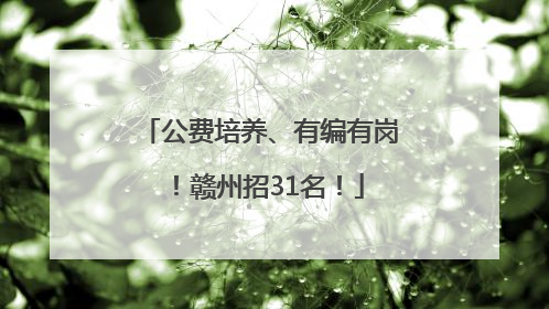 公费培养、有编有岗！赣州招31名！
